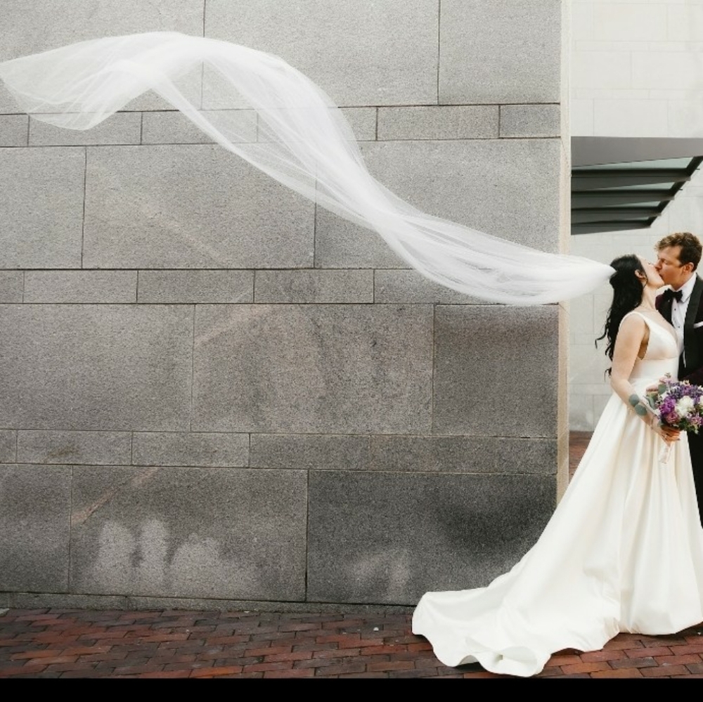 White Cathedral Length Veil